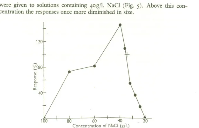 Fig. 5. The response of a limpet from H.W.D.N.T. to various NaCl concentrations. Concen- Concen-trations expressed as g NaCl/!., responses as percentages of response to undiluted sea water (salinity c