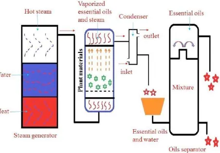 Figure 5:  Diagrammatic illustration of steam distillation method [29]. 