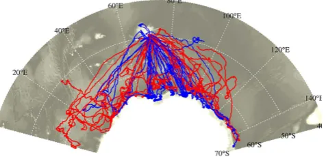 Figure 1. Tracks of the 43 southern elephant seals equipped with CTD-SRDLs from 2004 to 2014