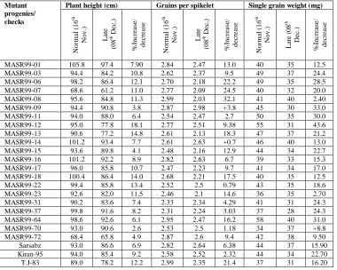 Table -5:  Mean performance of five randomly selected wheat mutant plants                   selected from F5M4 progenies under late planting time   