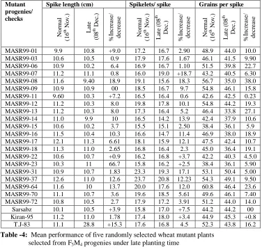 Table-3:Mean performance of five randomly selected wheat mutant plants                   selected from F5M4 progenies under late planting time   