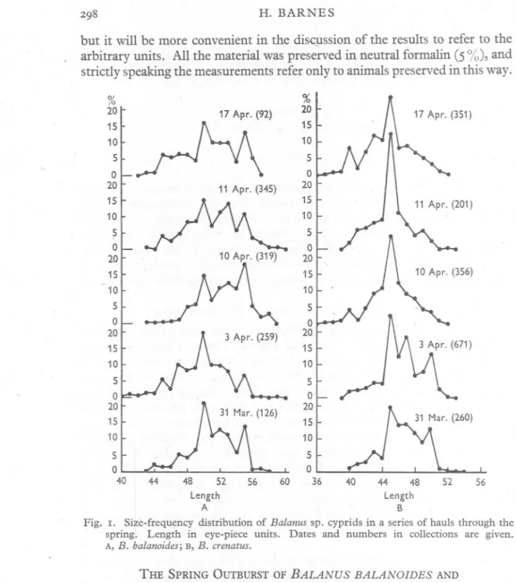 Fig. I. Size-frequency distribution of Balanus sp. cyprids in a series of hauls through the spring