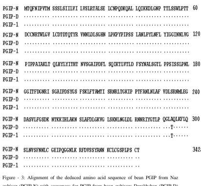 Figure - 3: Alignment of the deduced amino acid sequence of bean PGIP from Naz cultivar (PGIP-N) with sequences for PGIP from bean cultivars Derakhshan (PGIP-D) (AY367002) and Saxa (PGIP-1) (X64769 and A23205)
