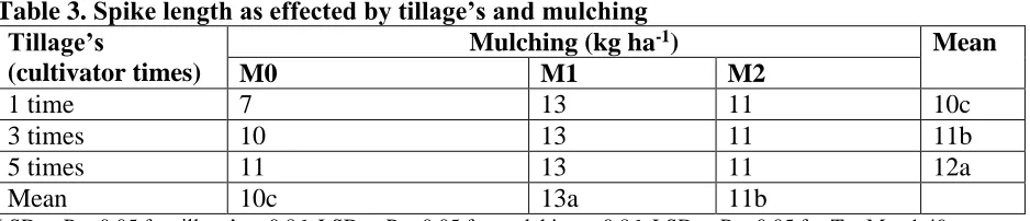 Table 4. 1000-grain weight as effected by tillage’s and mulching Tillage’s Mulching (kg ha-1) 