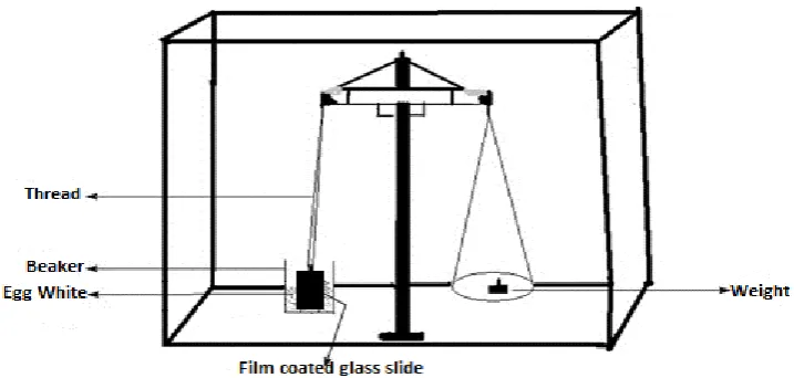 Fig. 1 Apparatus to determine mucoadhesion in vitro, using Modified Wilhemy’s technique