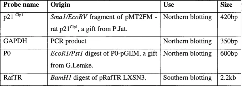 Table 2.4. Origin of the DNA fragments used for probe labelling