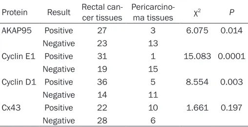 Table 1. AKAP95, Cyclin E1, Cyclin D1, and Cx43 protein expression in rectal cancer tissues