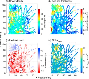 Figure 2. Spatial distribution of sea ice physical properties and ice algal biomass in the ROV survey area