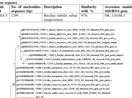 Table 2. Molecular identification of the selected halotolerant/halophilic isolate based on 16S rRNA gene sequence Lab No