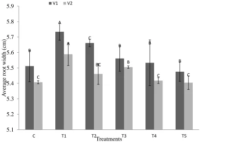 Figure 1. Average increase in root width a width after treatment with bacteria  Network depth 
