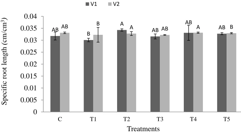 Figure 2. Network depth of roots by treatments with different bacterial strain  