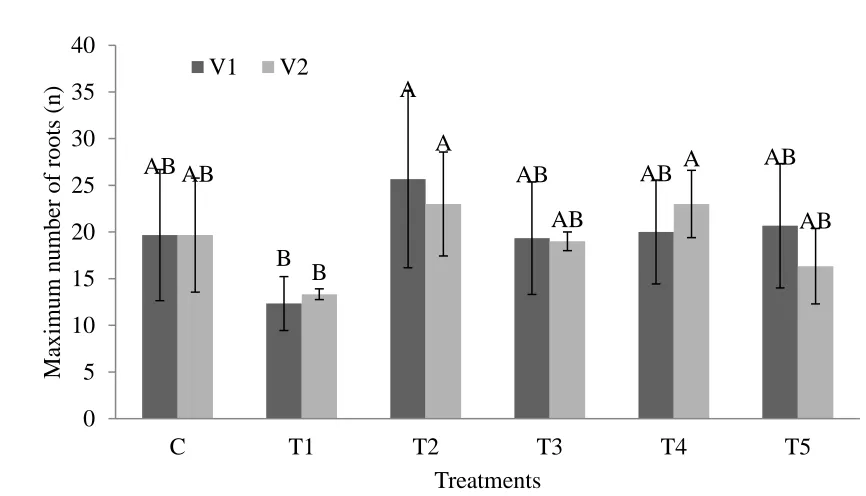Figure 4. Specific root length of plants by treatment with bacteria  