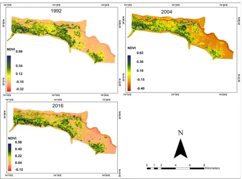 Fig. 3 Spatial distribution of land use and land cover (LULC) change. 