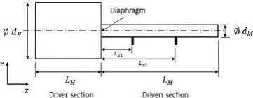 Fig. 1. Schematic of a closed micro shock tube. 