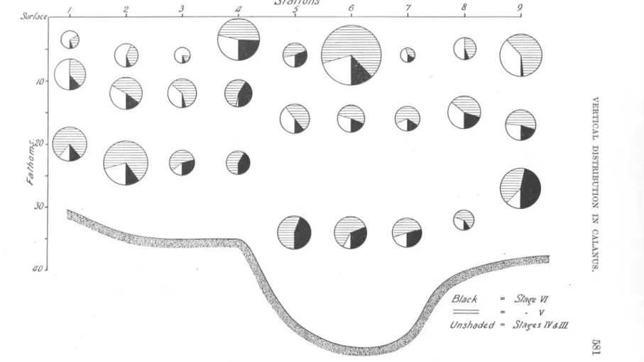 FIG. 3.-Vertical distribution of Calanus at Stations 1 to !J (1st Day, May 21st).