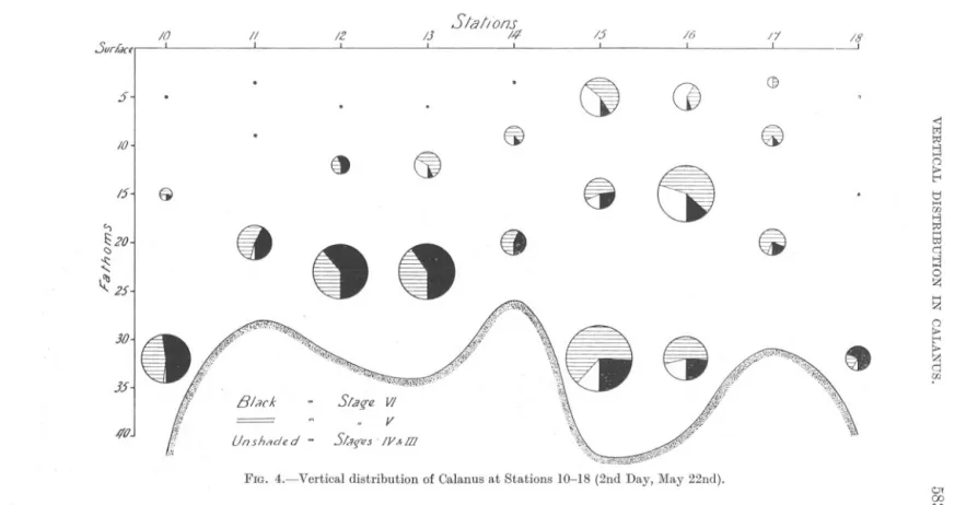 FIG. 4.-Vertical distribution of Calanus at Stations 10-18 (2nd Day, May 22nd).
