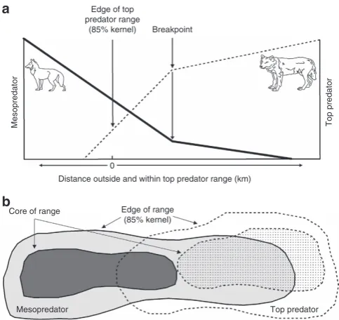 Figure 1 | Conceptual model of the Enemy Constraint Hypothesis usingtop predators and mesopredators as the subjects
