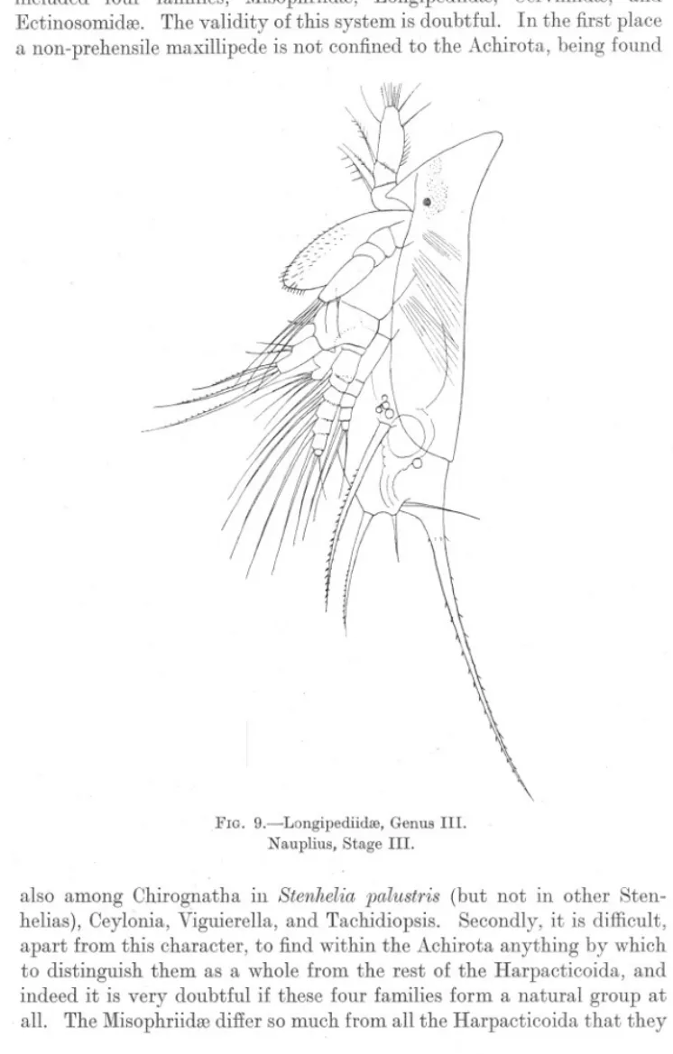 FIG. 9.-Longipediidre, Genus III.