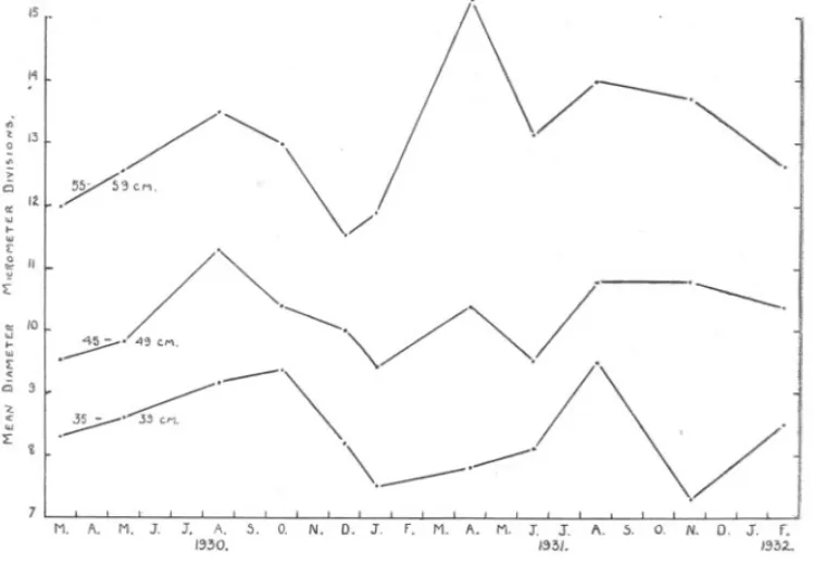 FIG. 4.-Seasonal changes in the mean diameter of the ovarian eggs in immature hake of 35-39, 45-49, and 55-59 em