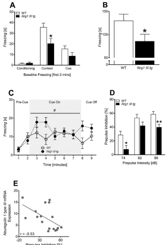 Fig. 3. Fear-associated memory, sensorimotor gating (ie, prepulse inhibition) and correlation analysis: Nrg1 type III mRNA levels with percentage prepulse inhibition