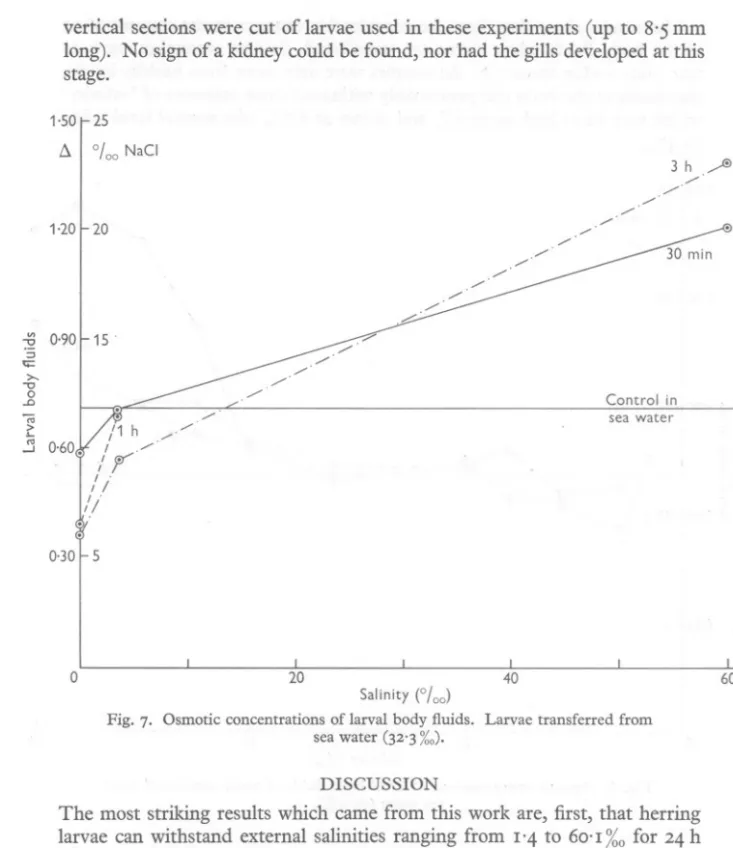 Fig, 7. Osmotic concentrations of larval body fluids. Larvae transferred from sea water (32'3 %0)'