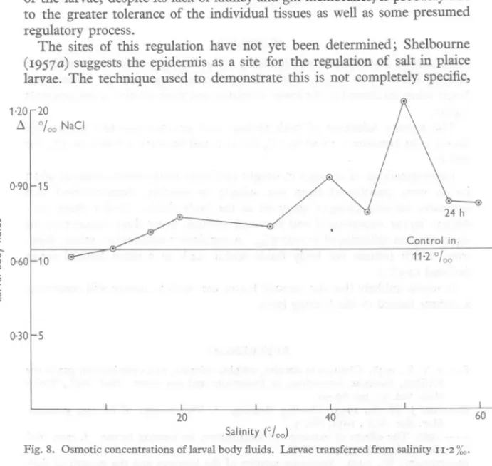 Fig. 8. Osmotic concentrations of larval body fluids. Larvae transferred from salinity II"2 %0'