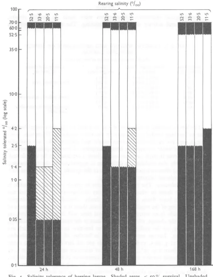 Fig. 4. Salinity tolerance of herring larvae.