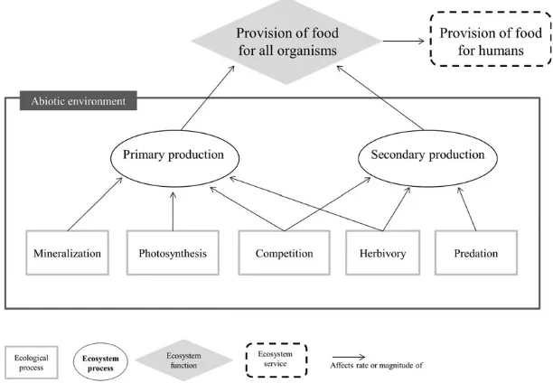 Figure 2. Example of ecological and ecosystem processes underpinning the food provision function