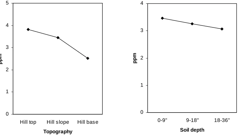 Fig. 3. Available phosphorus (AP) influenced by topography and depth of soils of Rungicherra Tea-estate