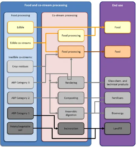 Figure 3. Main flows and utilisation of raw materials and co-streams (ABP: animal by-products)