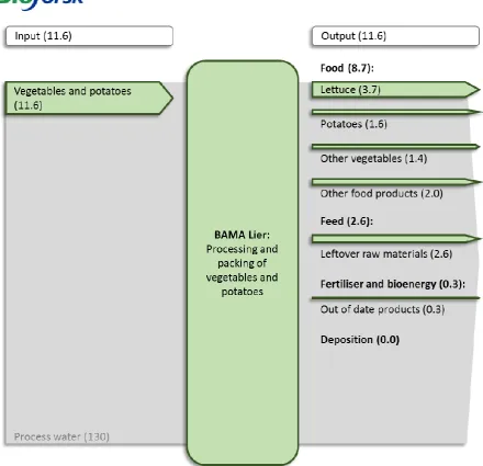 Figure 8. Flows of raw materials, food commodities and co-streams (1,000 tonnes/year, arrow width corresponds to the annual flow) at BAMA Lier in 2012