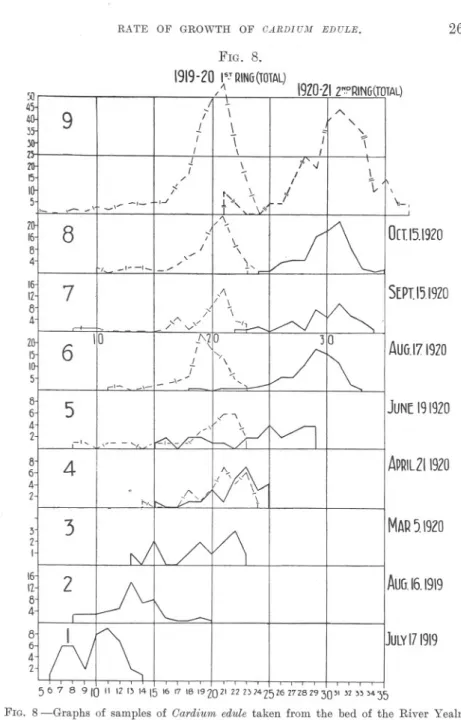FIG. 8 -Graphs of samples of Cardium edule taken from the bed of the River Yealm adjacent to the experimental box, for comparison with individuals of similar age grown in the experimental box
