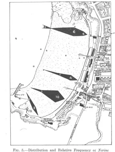 FIG. 6.-Distribution and Relative Frequency of Arenirola marina L. on Port Erin Beach.
