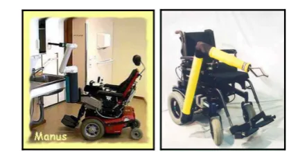 Figure 1. Manusand RaptorRoboticArm