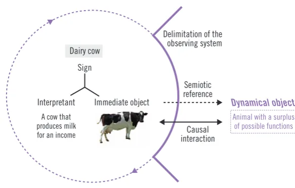 Figure 1 • The semiotic model of a scientific perspective, with three key conditions for observa-tion (Alrøe & Noe 2011: 157)