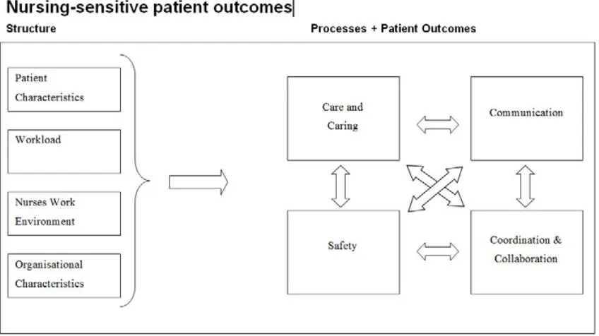 Figure 2: A conceptual framework for measuring the quality and safety 