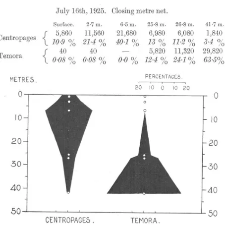 FIG. 5.-The percentage vertical distribution of Centropages typicus and Temora longicor&#34;is on July 16th, 1925, in water over 50 metres deep, as shown by collections with a closing metre net