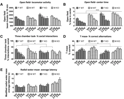Figure 3. Effects of baclofen on behaviors in Fmr1 KO and WT mice. A, Open-field beam breaks in 10 min; F-WT, n � 18; F-KO, n� 18; M-WT, n � 22; M-KO, n � 19