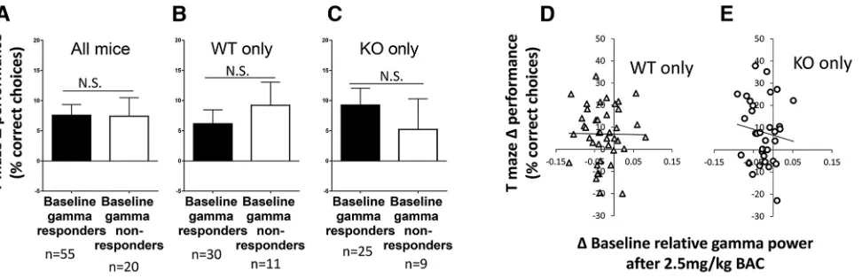 Figure 4. Relationships between changes in gamma power and improvements in T-maze performance after 2.5 mg/kg baclofen.IFmr1 A–C,Differences in T-maze performance between baseline relative gamma responders and baseline relative gamma nonresponders