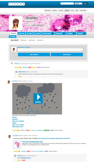 Figure 1: Example of a user’s profile page. Usernames are blurred to maintain the user’s privacy.