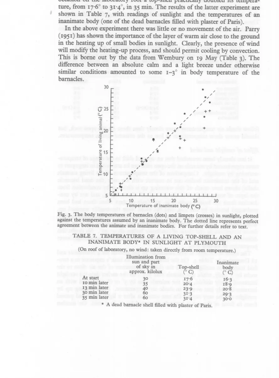 Fig. 3. The body temperatures of barnacles (dots) and limpets (crosses) in sunlight, plotted against the temperatures assumed by an inanimate body, The dotted line represents perfect agreement between the animate and inanimate bodies