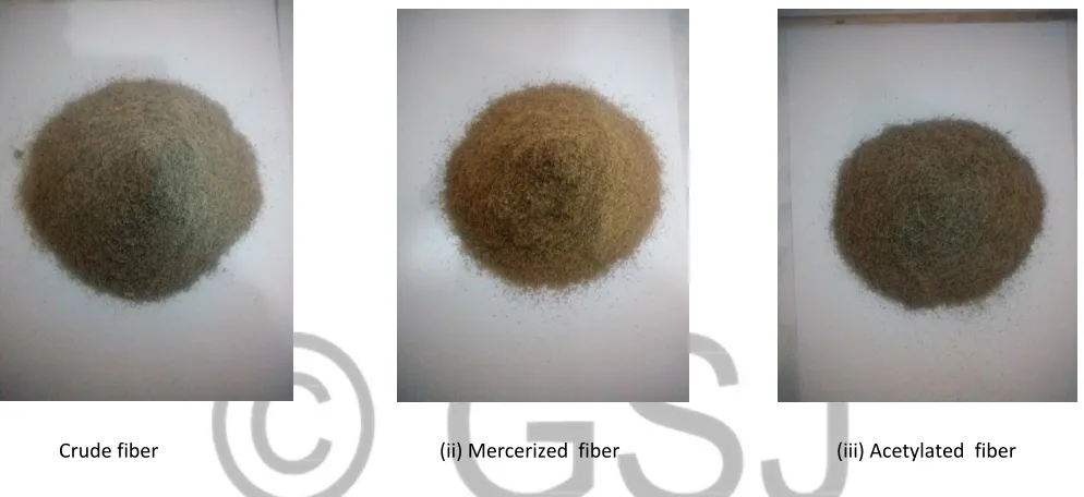 Figure 2: Crude, mercerized and acetylated bagasse fibers (710microns particle size) 