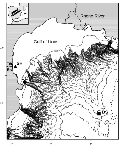 Fig. 1. Bathymetry map of the Gulf of Lions showing the locationPalanques et al., Figure 1of the inner shelf (SH) instrumented tripod (triangle), the Cap deCreus (CC) canyon head mooring site (circle) and the basin site(BS) mooring (square).