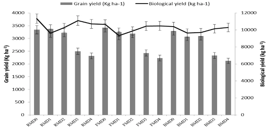 Figure 3. Effect of planting methods and deficit irrigations on grain yield (Kg ha 1) and biological yield (Kg ha-1) of maize  Conclusion In the light of objective of our experiments conclusion can be drawn