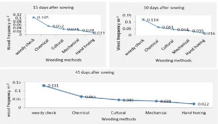Figure 3.  Effect of different weed control methods on weeds frequency m-2 of 15, 30 and 45 days after sowing  