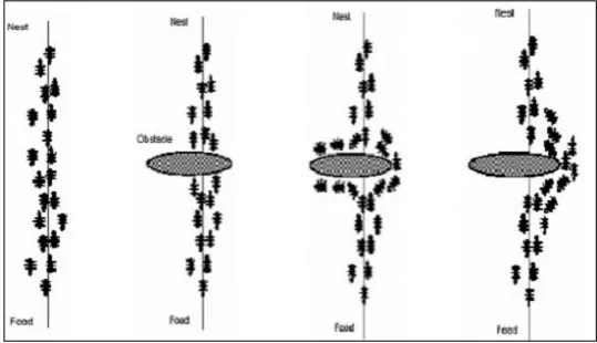 Fig. 1: Ants Traversal Path [5] 