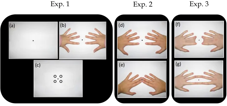 Figure 2.5. Illustrations of the possible Visual Conditions for Experiment 1, 2 and 3 are presented