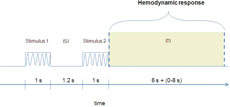 Figure 2.6. Schematic representation of the trial consisted of two vibrotactile stimulations was a variable interval between 6 and 14 s were we registered the hemodynamic response