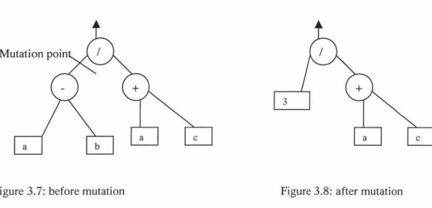 Figure 3.7: before mutation 