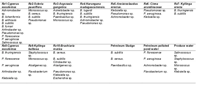 Table 6. Fungal microflora obtained from rhizosphere region of plants pre-exposed to pollution  